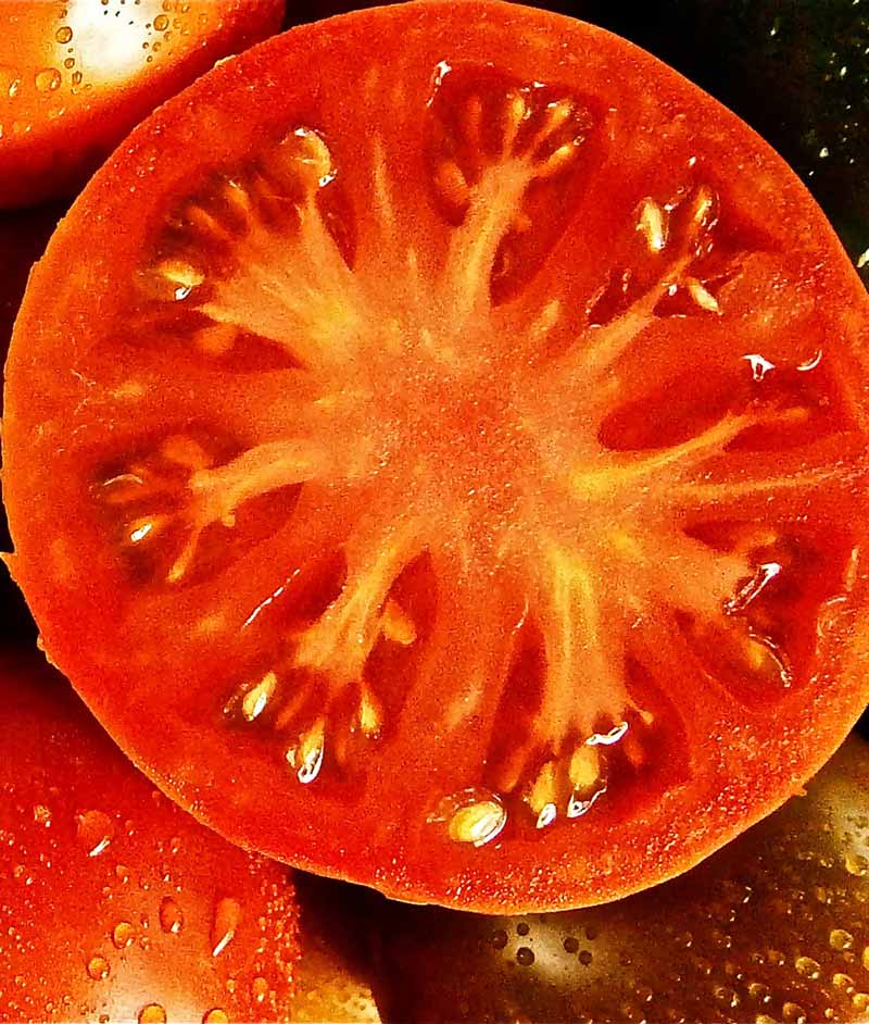 Tomato Brandywine Seed