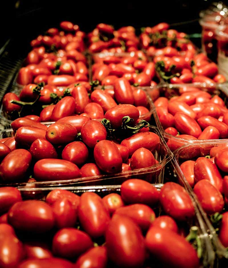 Tomato Classica Seed