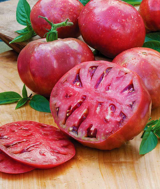 Tomato Cherokee Purple Seed