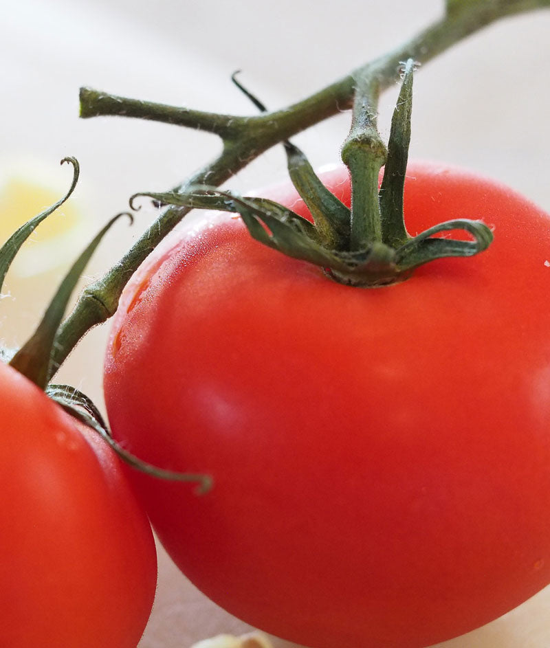 Tomato Early Girl Seed