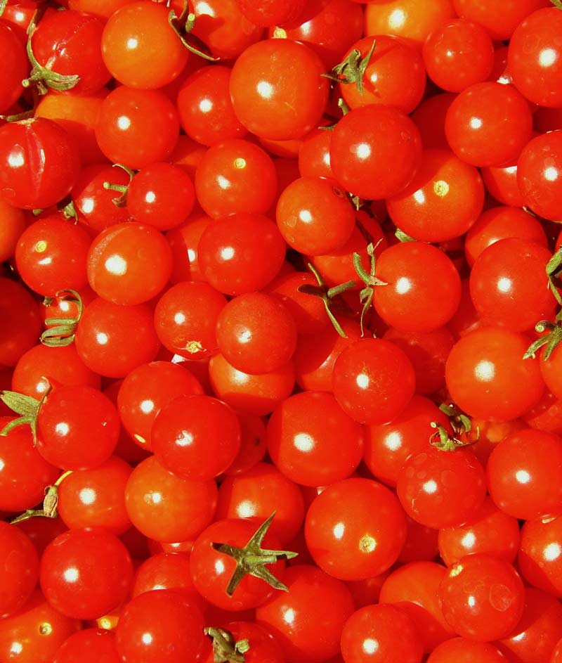 Tomato Sweet Million Seed