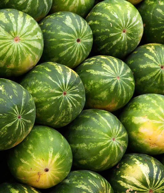 Watermelon Crimson Sensation Seed