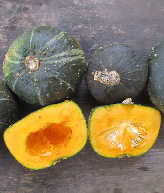 Squash Winter Buttercup Seed