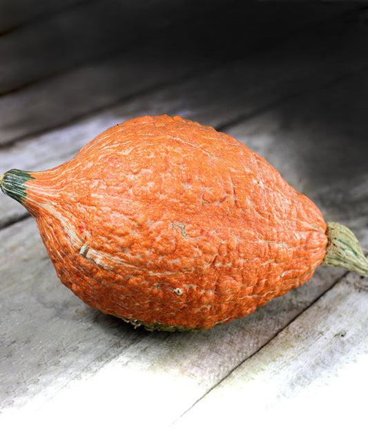Squash Winter Golden Hubbard Seed