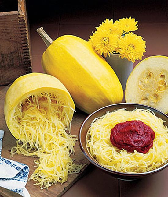 plant spaghetti squash seeds Squash Winter Spaghetti Seed – Anderson's Seed & Garden