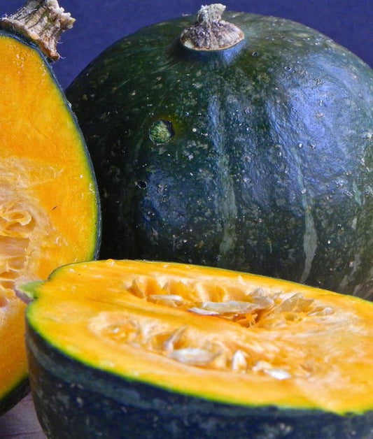 Squash Winter Sweet Kabocha Seed