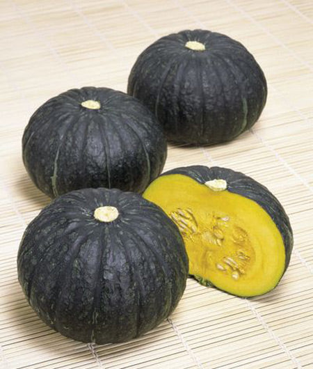 Squash Winter Sweet Kabocha Seed