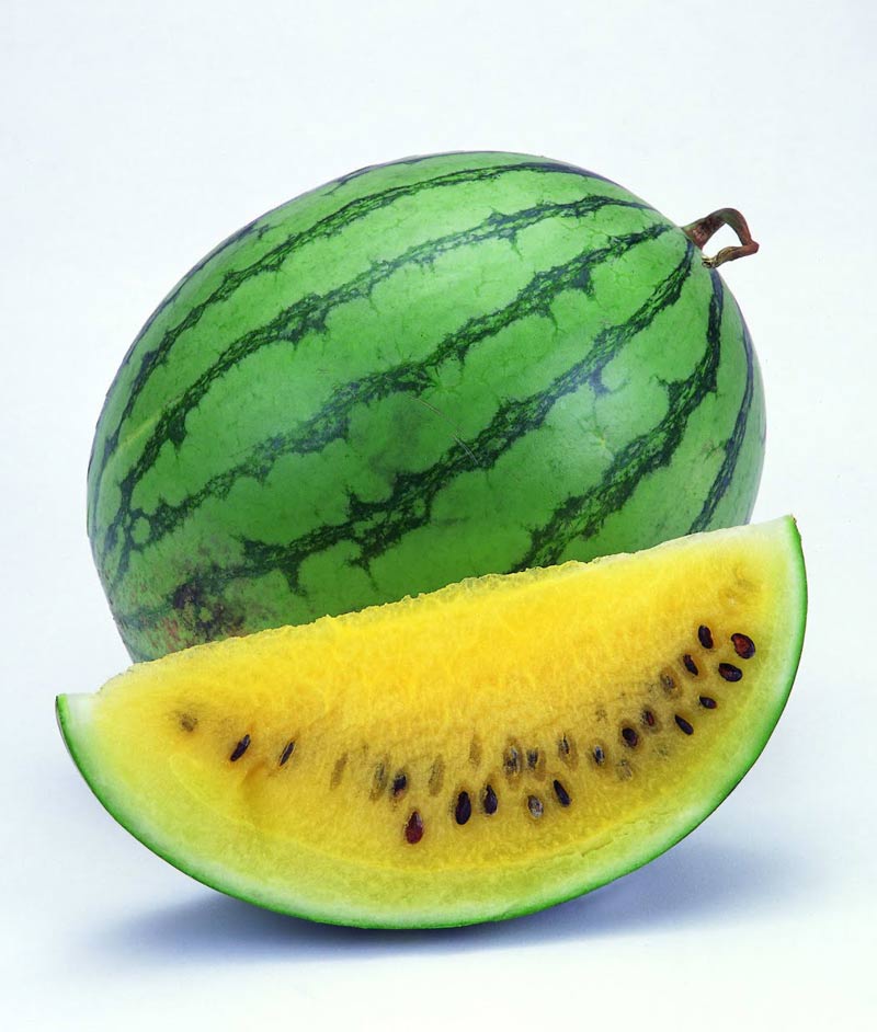 Watermelon Yellow Doll Seed