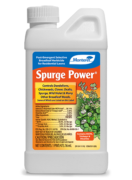 Monterey Spurge Power 16 oz
