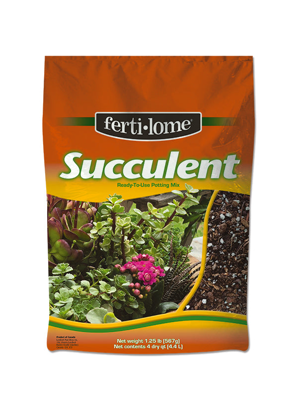 succulent seed mix Succulent Mix 4 Dry Qt – Anderson's Seed & Garden