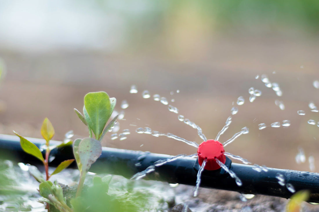 Watering Your Garden Made Simple