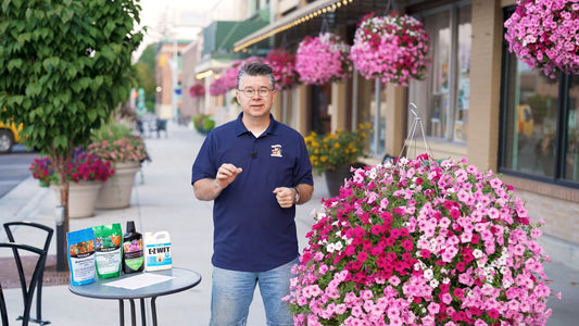 Mark's Hanging Basket Secret Recipe