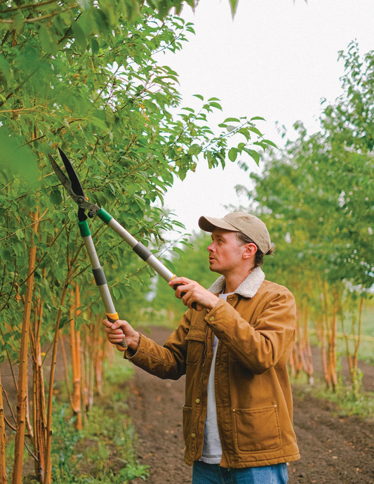 Pruning and Training Basics