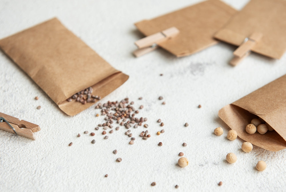 buy seeds for spring