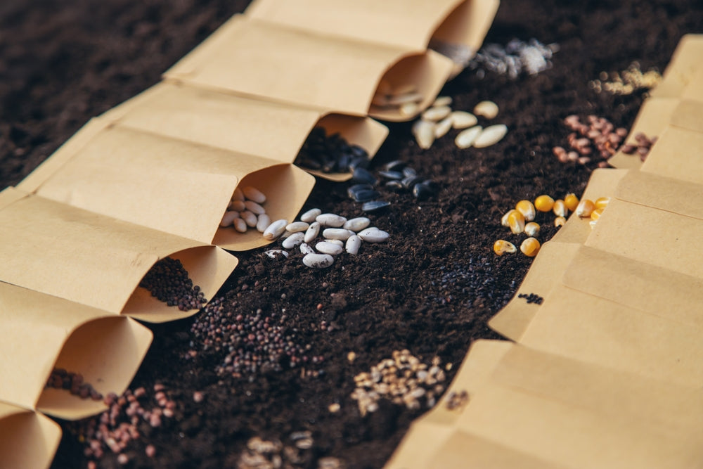 buy seeds in bulk