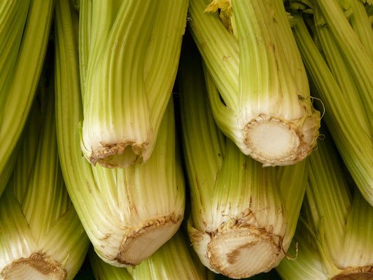 Celery Planting Guide