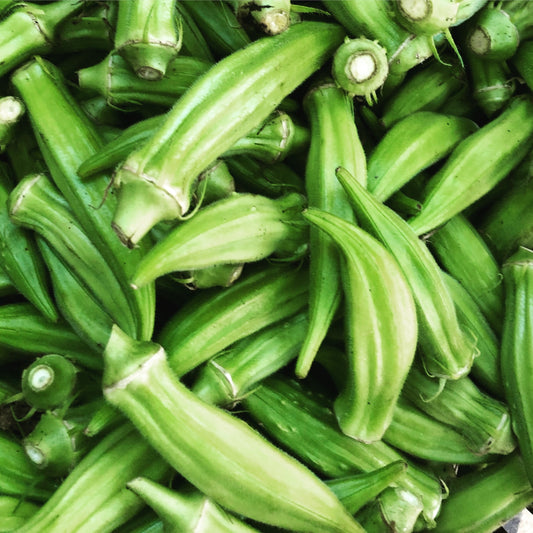 Okra Planting Guide