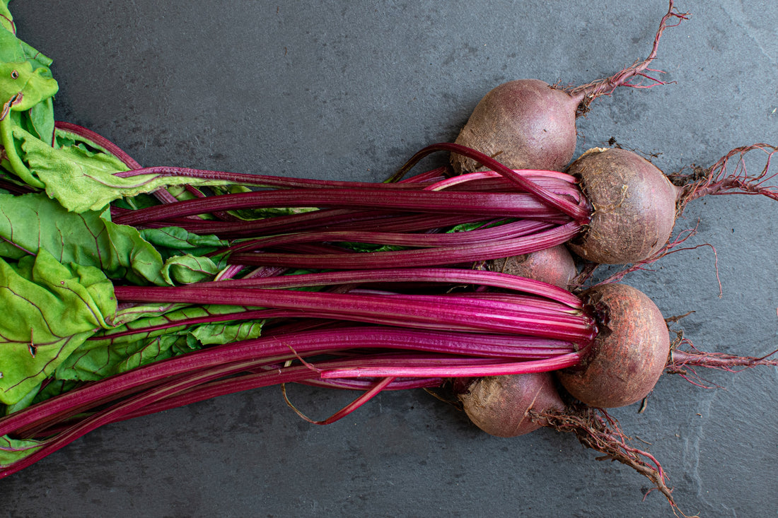 Beet Planting Guide – Anderson's Seed & Garden