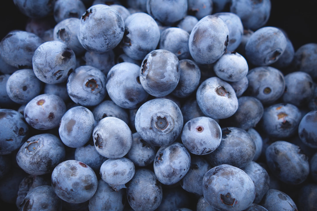 Blueberries Growing Guide
