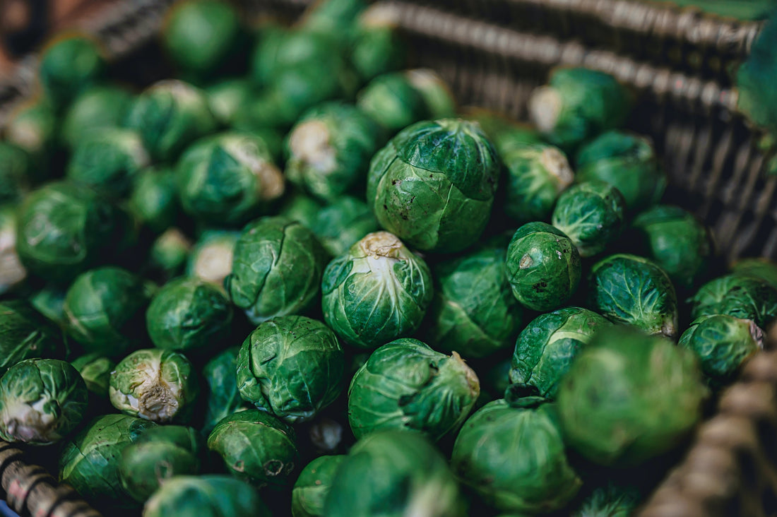 Brussels Sprouts Planting Guide