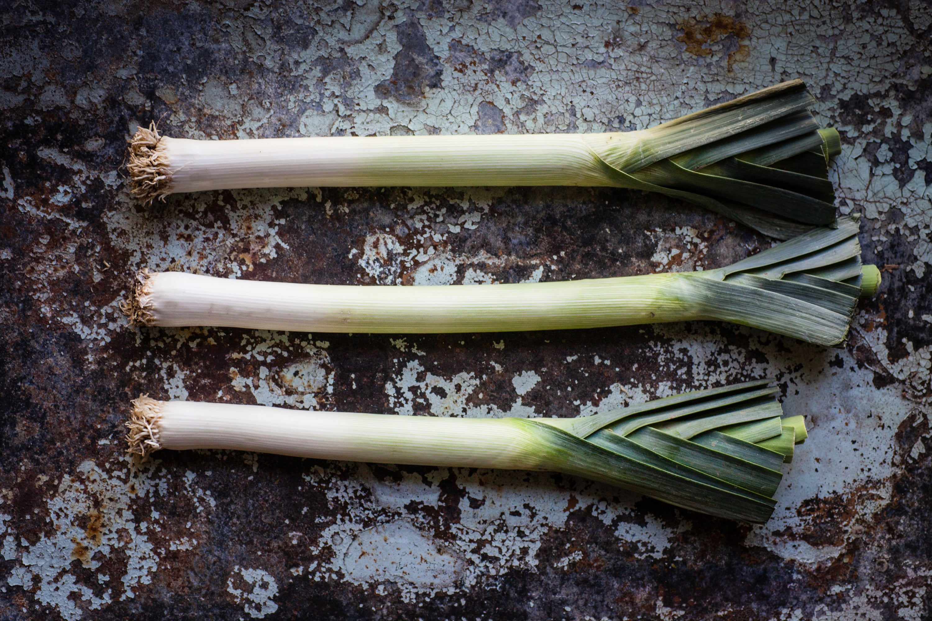 Leek Planting Guide Anderson's Seed & Garden