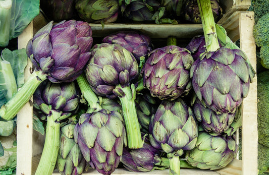 Artichoke Planting Guide