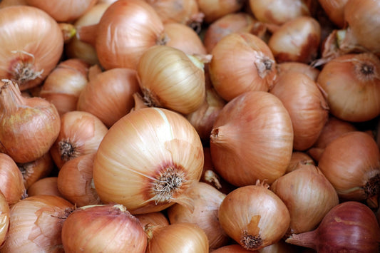 Onion Planting Guide