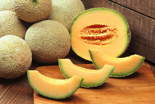 Cantaloupe Planting Guide