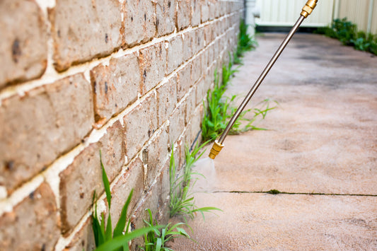 Your Mid-Summer Weed & Pest Treatment Guide