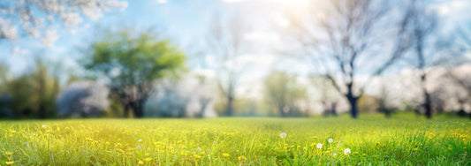 Grow a Smart, Green Lawn with Up to 50% Less Water