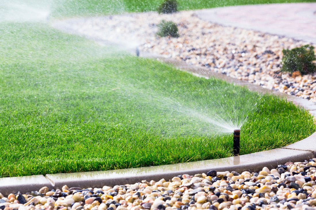 Beat the Heat: The Ultimate July Guide to a Lush, Smart, and Water-Wise Cache Valley Lawn