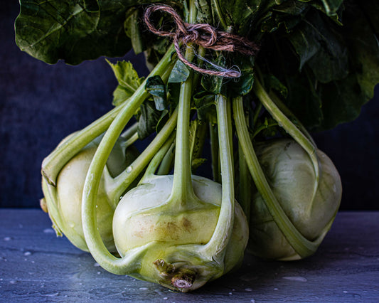 Kohlrabi Planting Guide