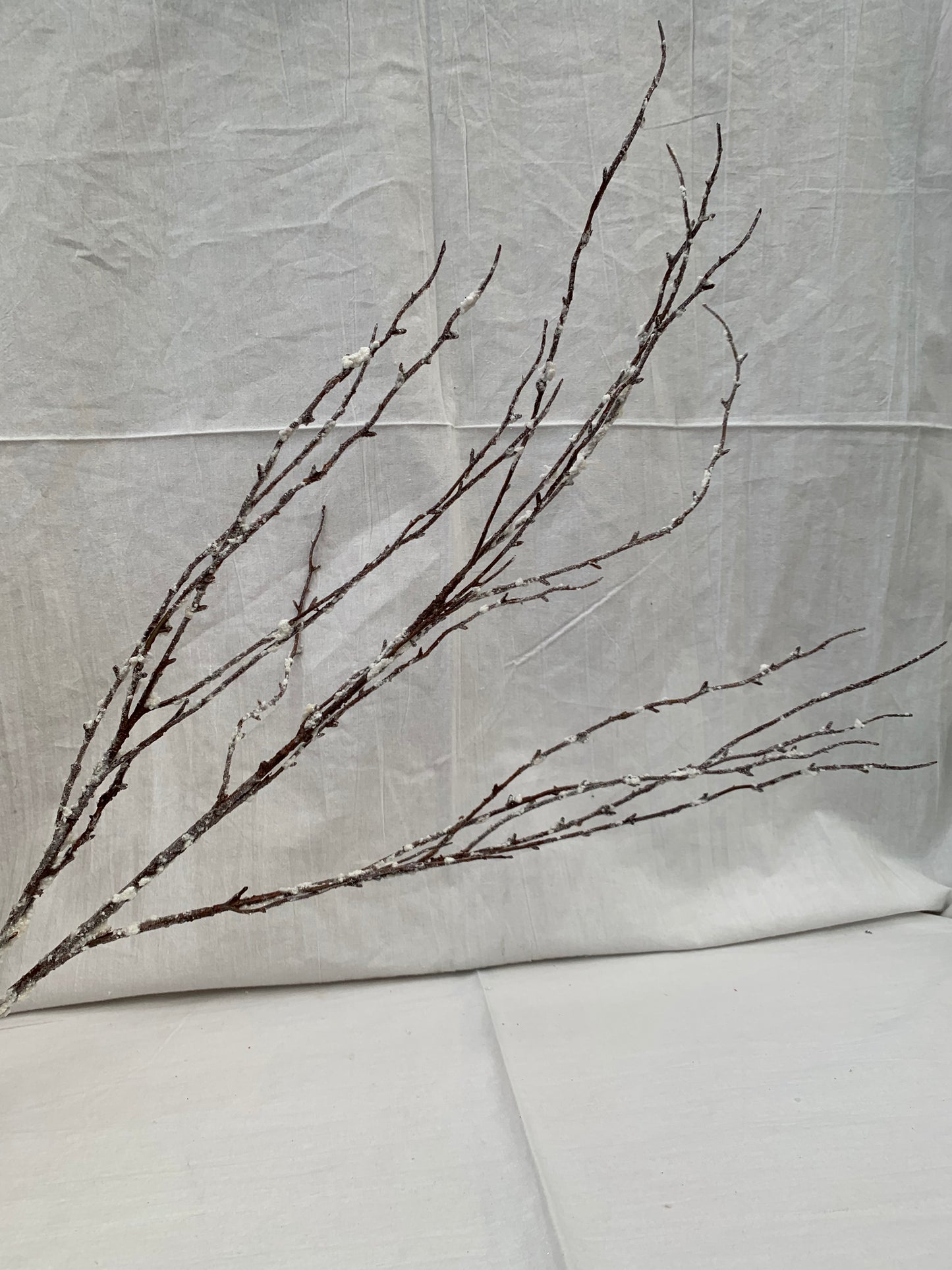 Snow Ice Twig Branch, Brwn/Wht
