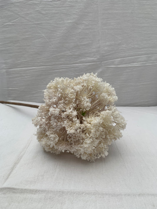 Lg Snowball Flower, Wht/Pink