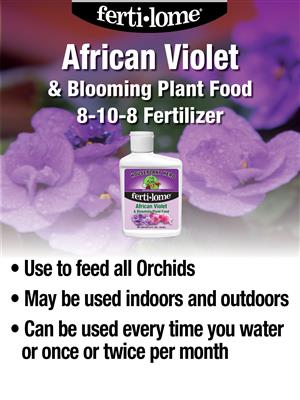 Fertilizer bottle for African Violet and Blooming Plant Food with purple flowers in the background