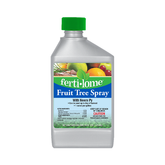 Fertilome Fruit Tree Spray bottle with a green cap on a white background
