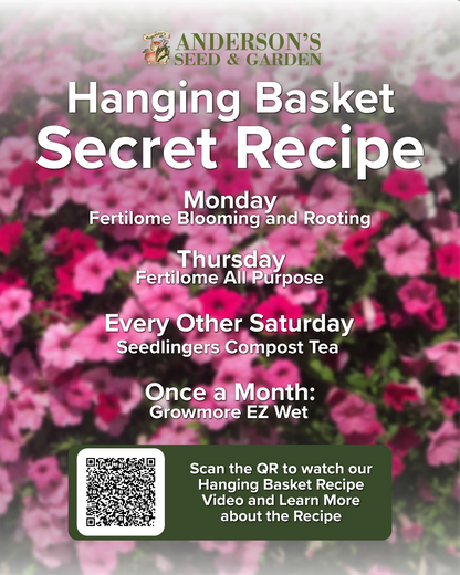 Hanging Basket Recipe Medium