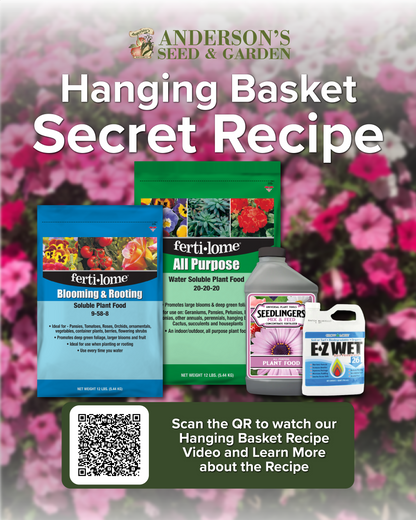 Hanging Basket Recipe Medium