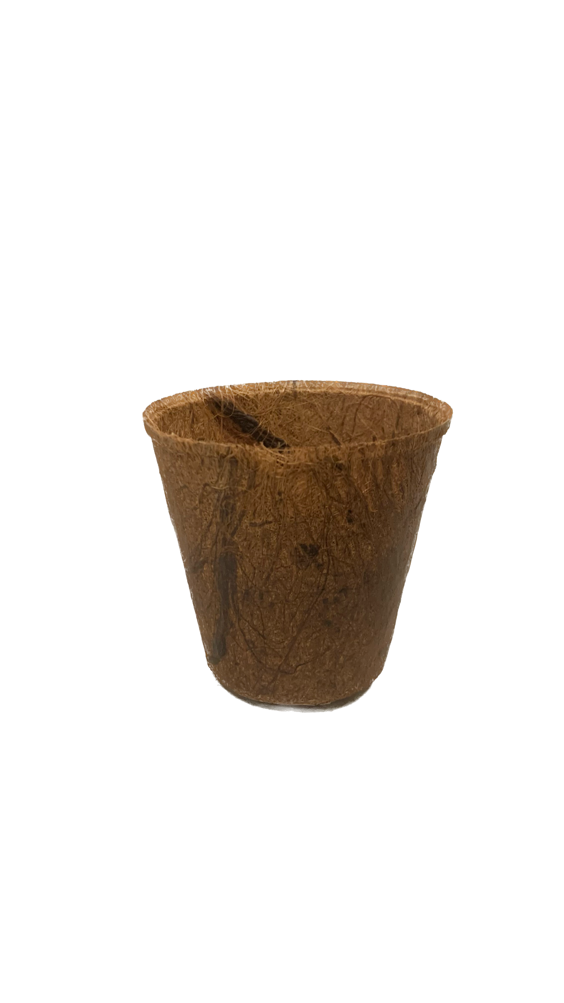 coco fibre plant pots 3" Coconut Coir Pot – Anderson's Seed & Garden