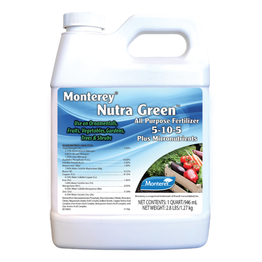 Monterey Qt Nutra Green