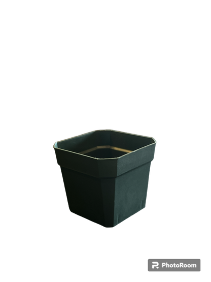 3 inch plastic plant pots 3" Nursery Pot – Anderson's Seed & Garden