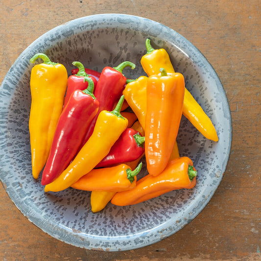 Pepper Mixed Cornito Seed