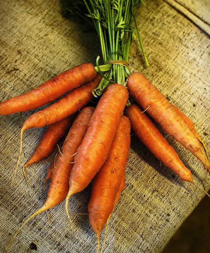 Carrot Tendersweet Seed