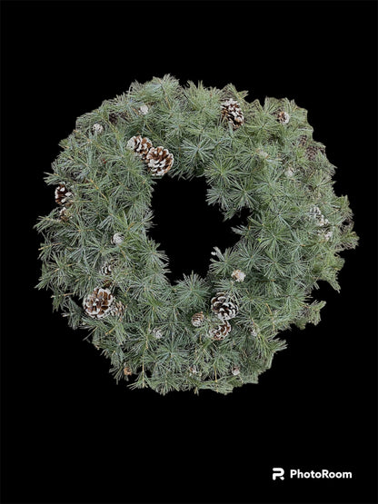 30" Winter Bristle Wreath WINT