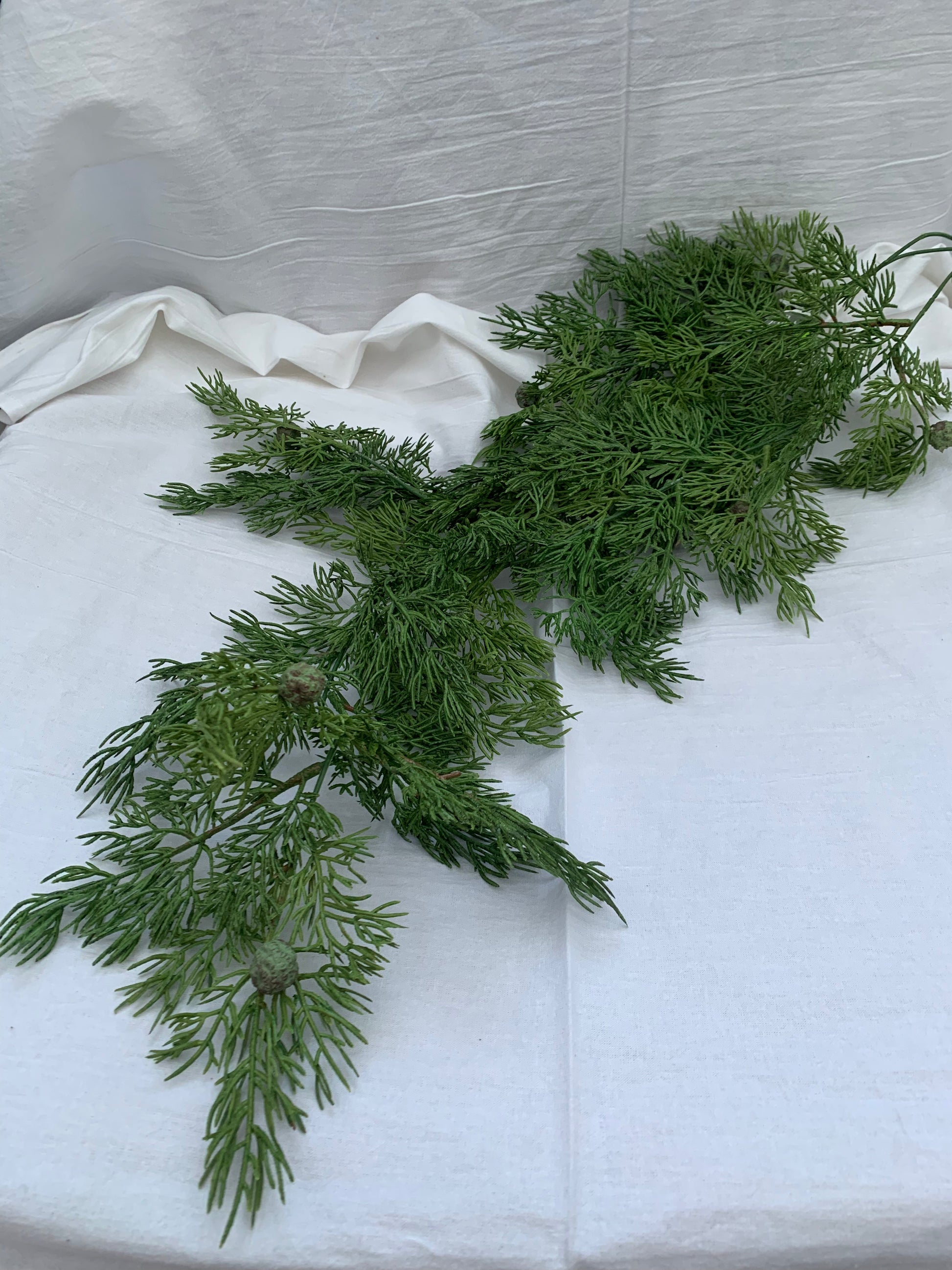 Juniper Hanging Bush, Green Anderson's Seed & Garden