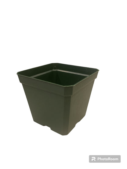 4 inch square plant pots 4" Nursery Pot – Anderson's Seed & Garden