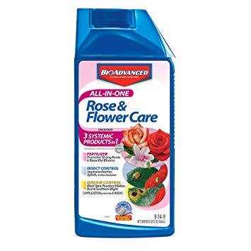 Bayer All-In-One Rose & Food 32 oz
