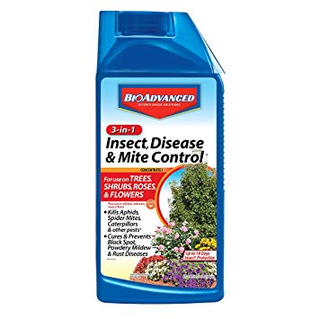Bayer 3 in1 Insect Concentrate