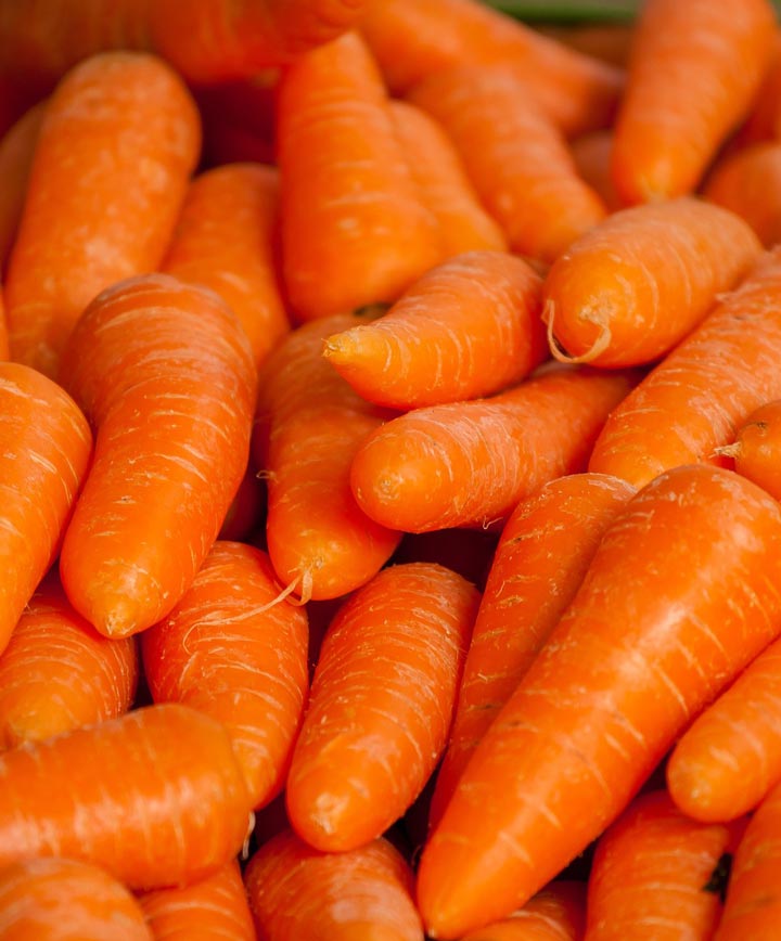 Carrot Organic Danvers Half Long Seed