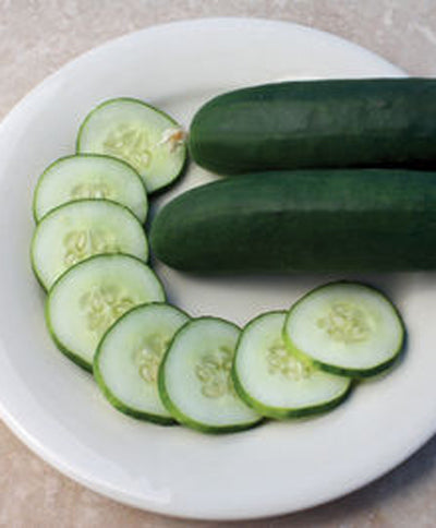 Cucumber Organic Marketmore Seed